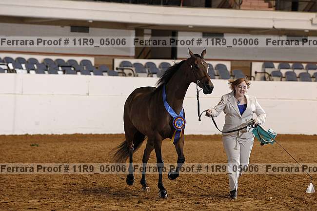Proof 11r9_05006