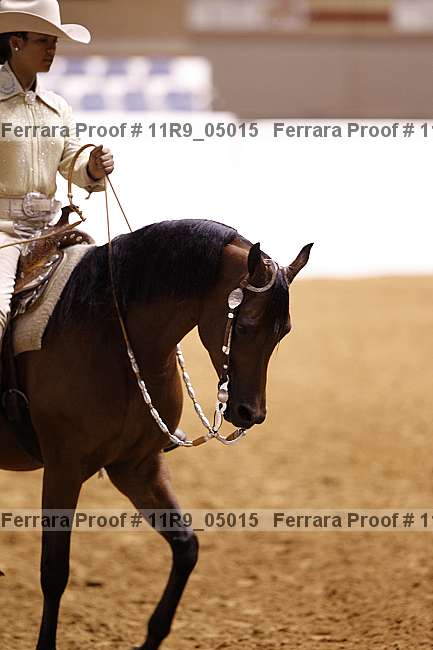 Proof 11r9_05015