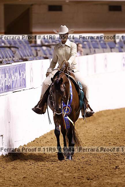 Proof 11r9_05044