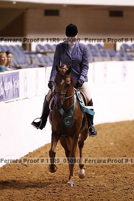 Proof 11r9_05090
