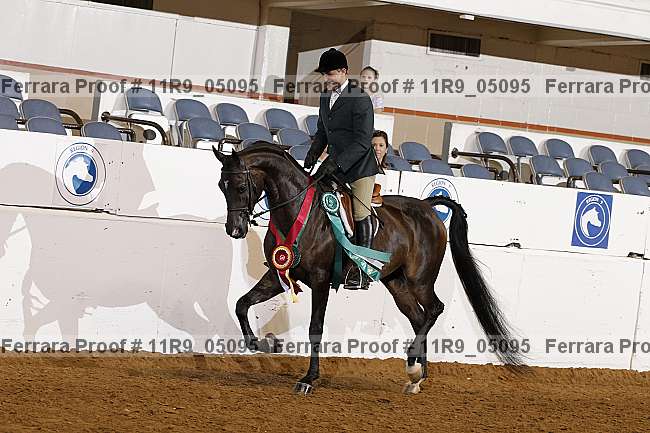 Proof 11r9_05095