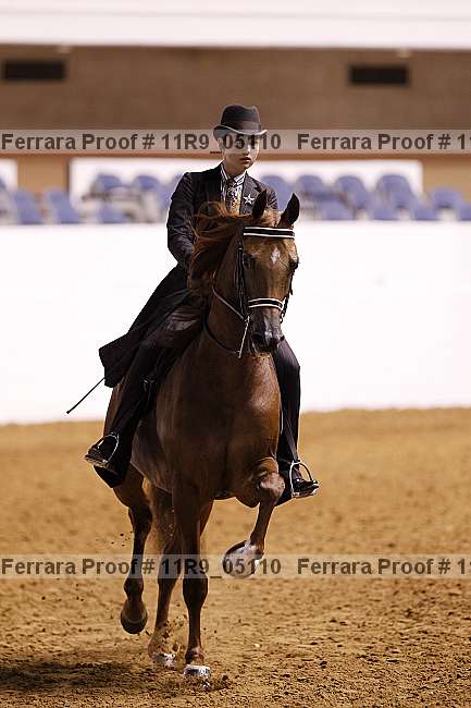 Proof 11r9_05110