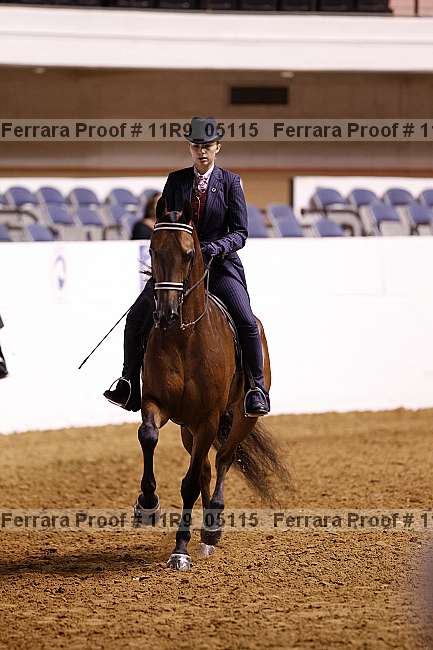 Proof 11r9_05115