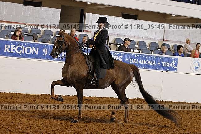Proof 11r9_05145