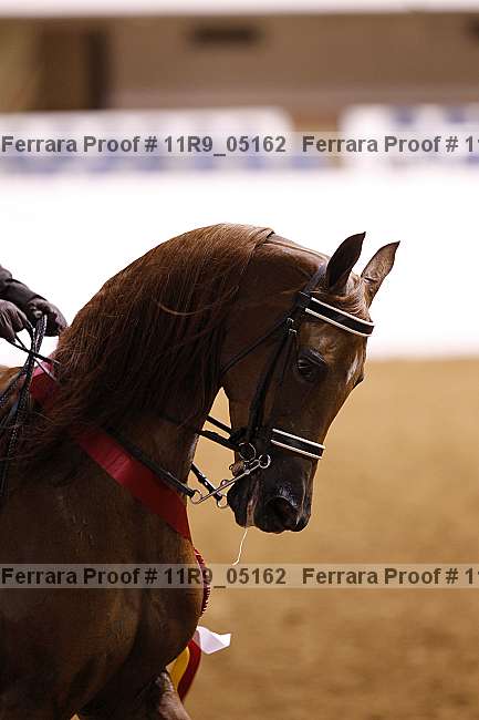 Proof 11r9_05162