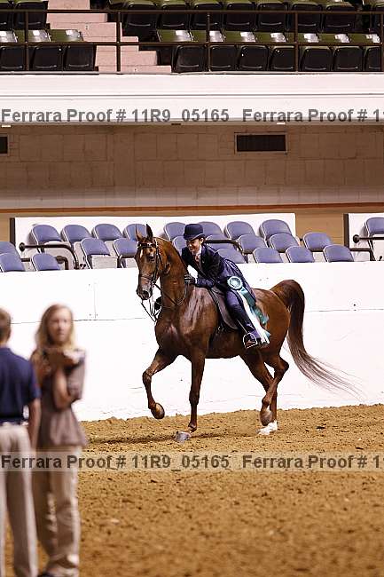 Proof 11r9_05165