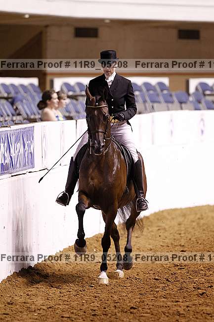 Proof 11r9_05208