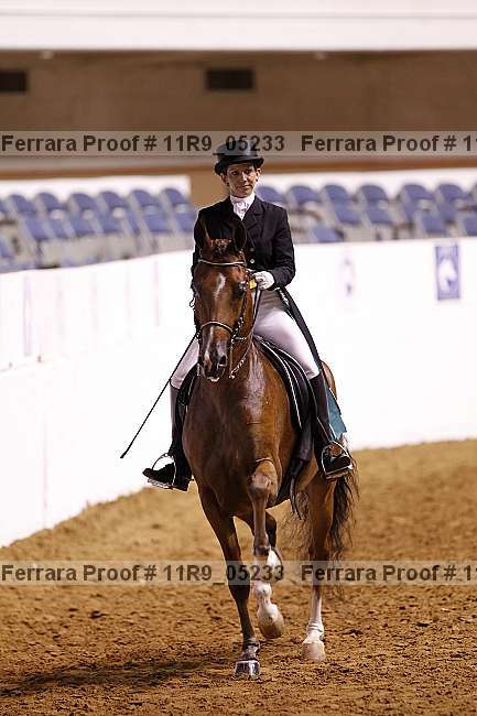 Proof 11r9_05233