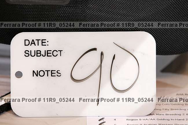 Proof 11r9_05244