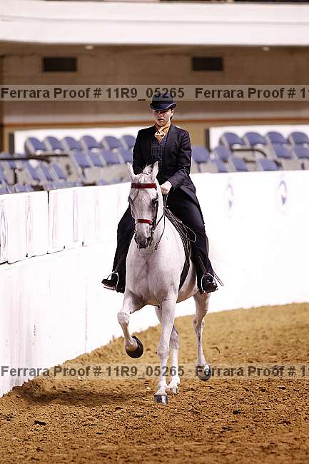 Proof 11r9_05265