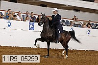 11r9_05299 proof