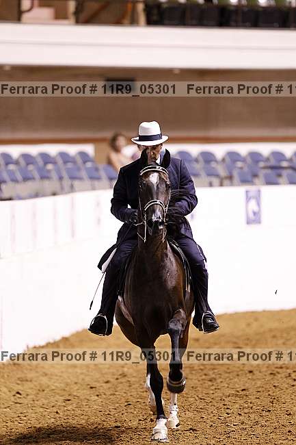 Proof 11r9_05301