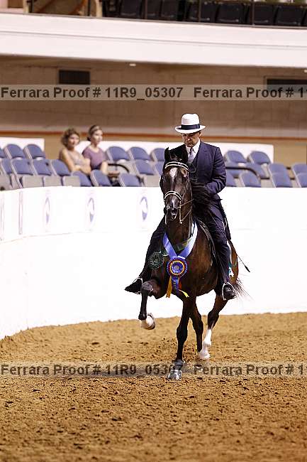 Proof 11r9_05307