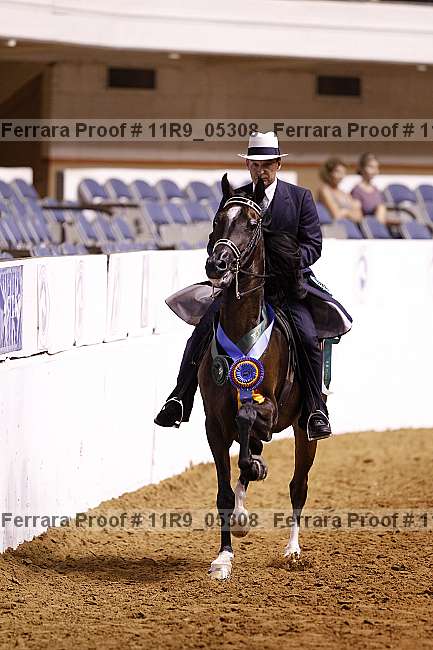 Proof 11r9_05308