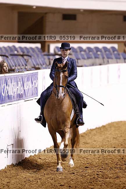 Proof 11r9_05319