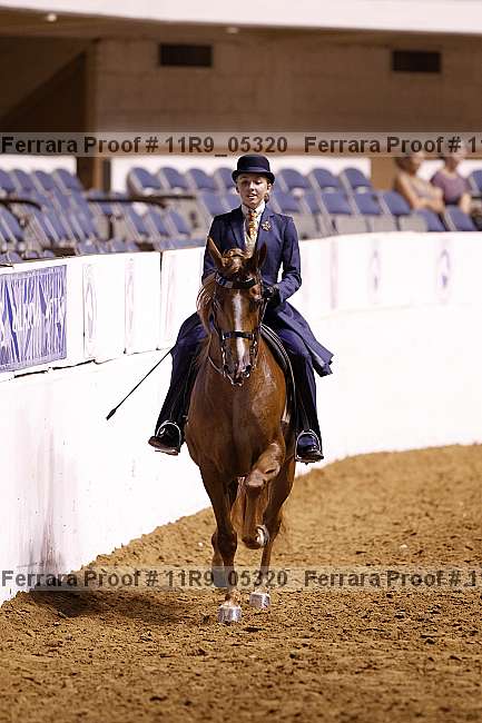 Proof 11r9_05320