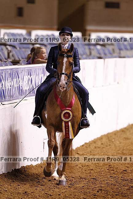 Proof 11r9_05328