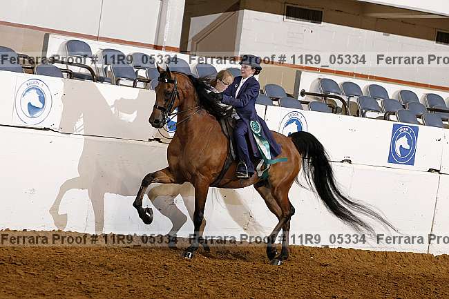 Proof 11r9_05334