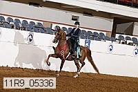 11r9_05336 proof