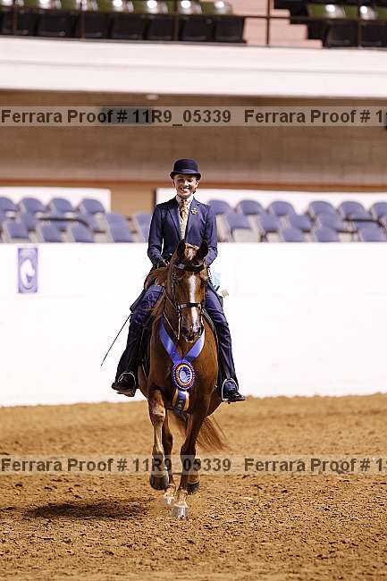 Proof 11r9_05339