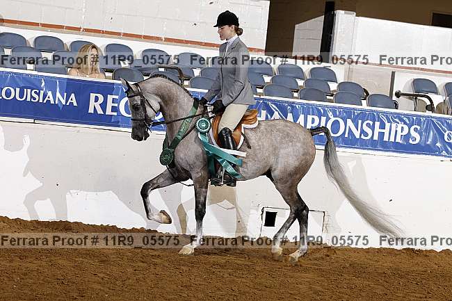 Proof 11r9_05575