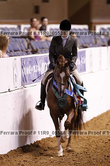 Proof 11r9_05588