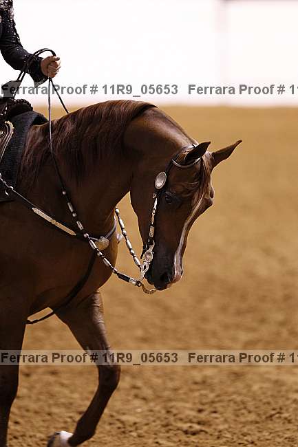 Proof 11r9_05653