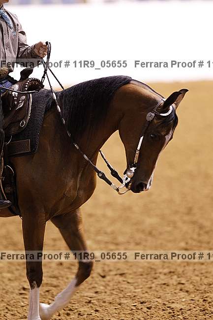 Proof 11r9_05655