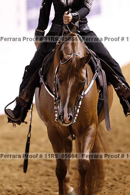 Proof 11r9_05664