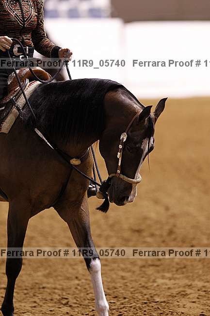 Proof 11r9_05740