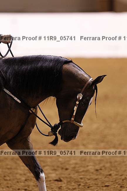 Proof 11r9_05741
