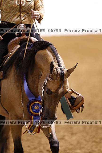 Proof 11r9_05796