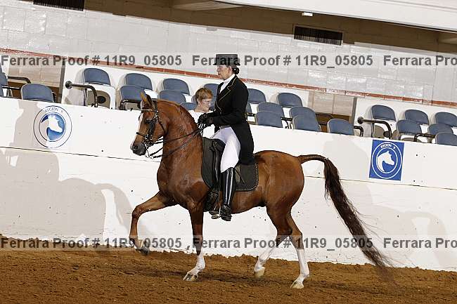 Proof 11r9_05805