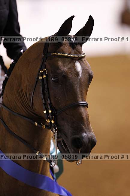 Proof 11r9_05819