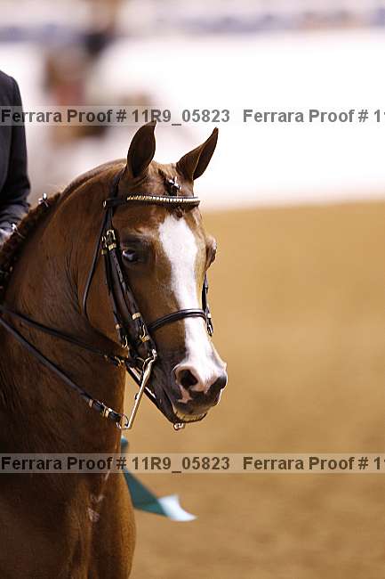 Proof 11r9_05823