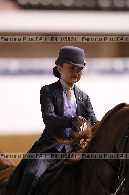 Proof 11r9_05851