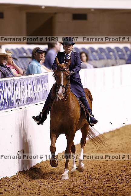Proof 11r9_05857