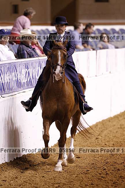 Proof 11r9_05859