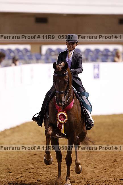 Proof 11r9_05897