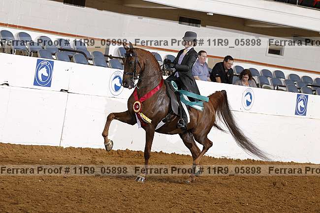 Proof 11r9_05898