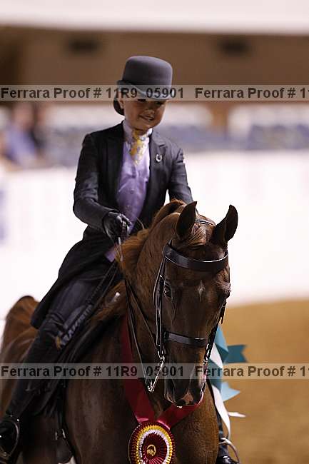 Proof 11r9_05901
