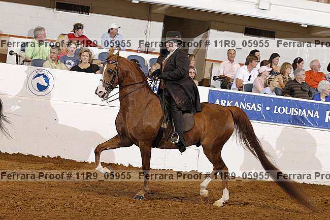 Proof 11r9_05955