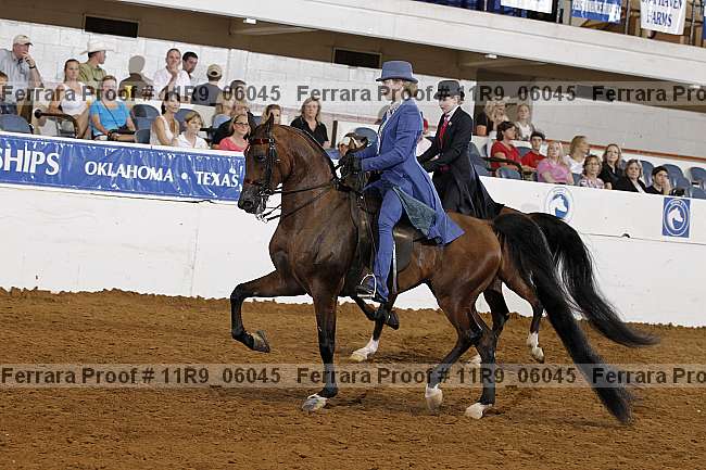 Proof 11r9_06045