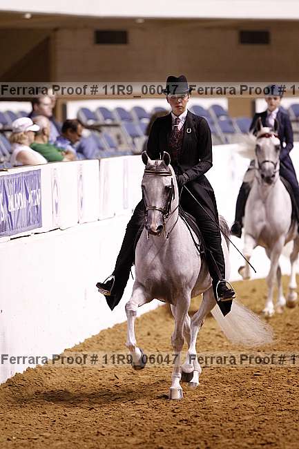 Proof 11r9_06047