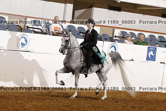 Proof 11r9_06093