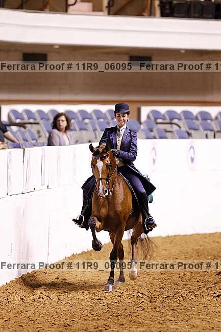 Proof 11r9_06095