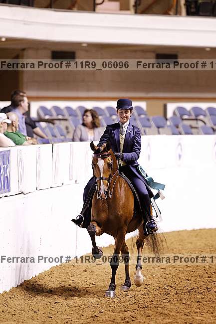 Proof 11r9_06096