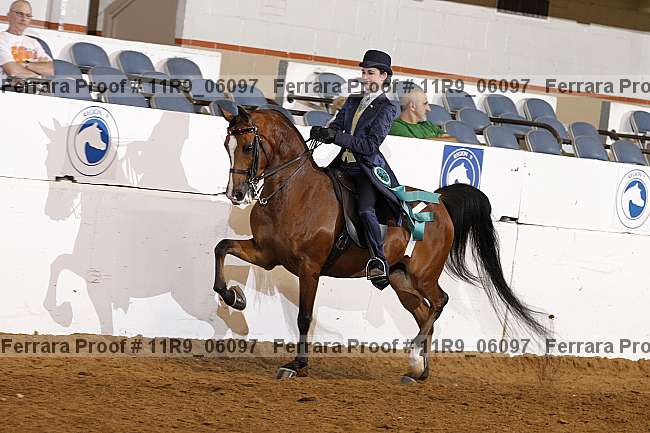 Proof 11r9_06097