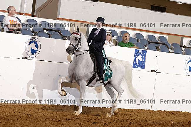 Proof 11r9_06101