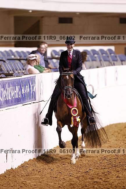 Proof 11r9_06102
